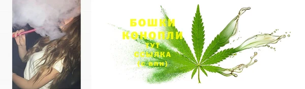 прущая мука Инта