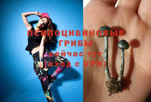 прущая мука Инта